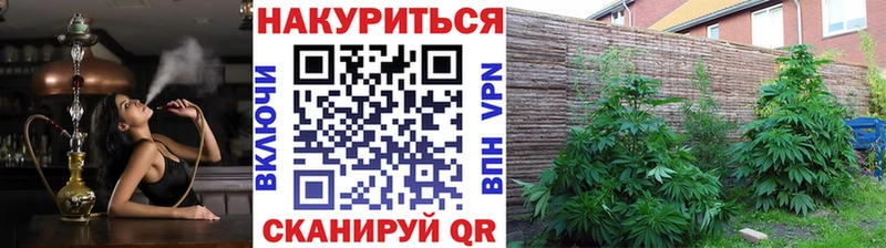 ссылка на мегу ССЫЛКА Болохово Марихуана индика